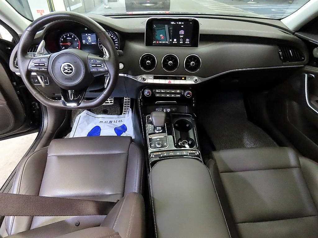 기아 스팅어 가솔린 2.0 터보 2WD 플래티넘 이미지 10