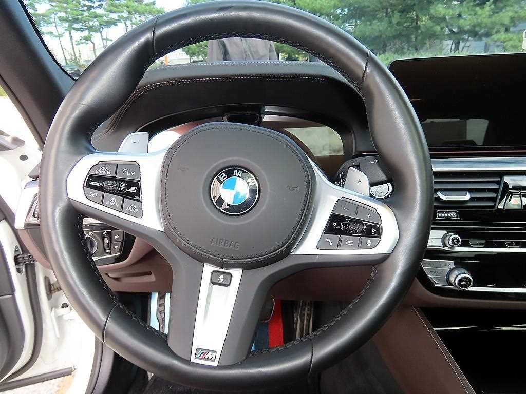 BMW 5시리즈 5시리즈 (G30) 530i M 스포츠 이미지 8