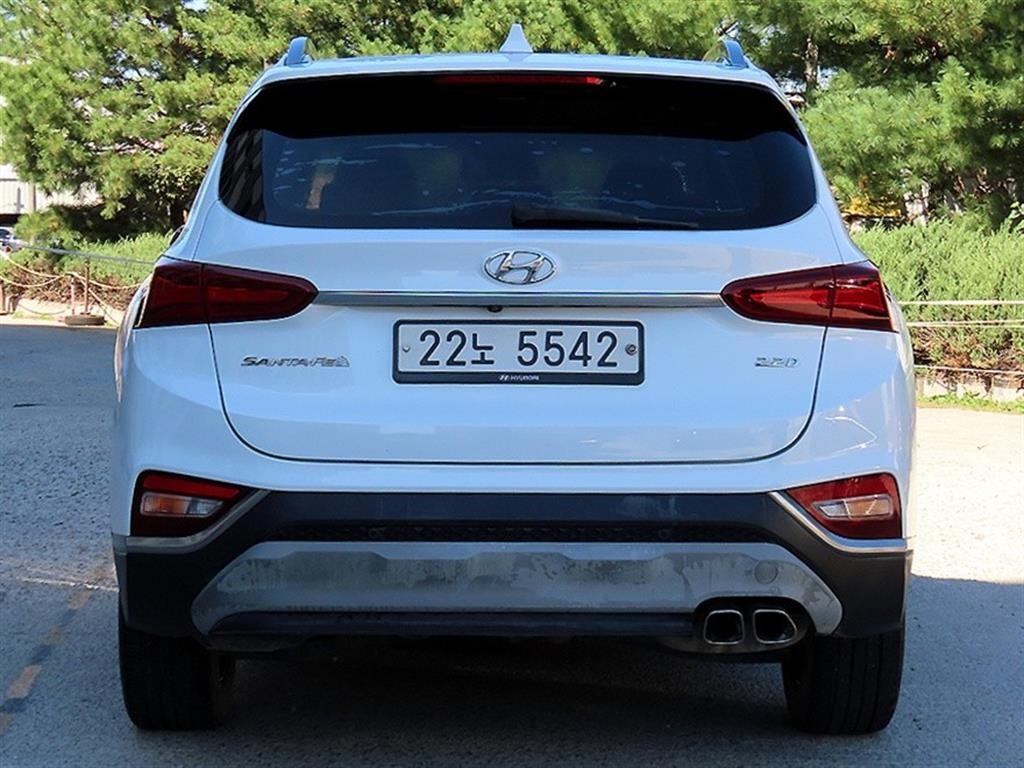 현대 싼타페 싼타페 TM 디젤 2.2 2WD 프레스티지 이미지 4