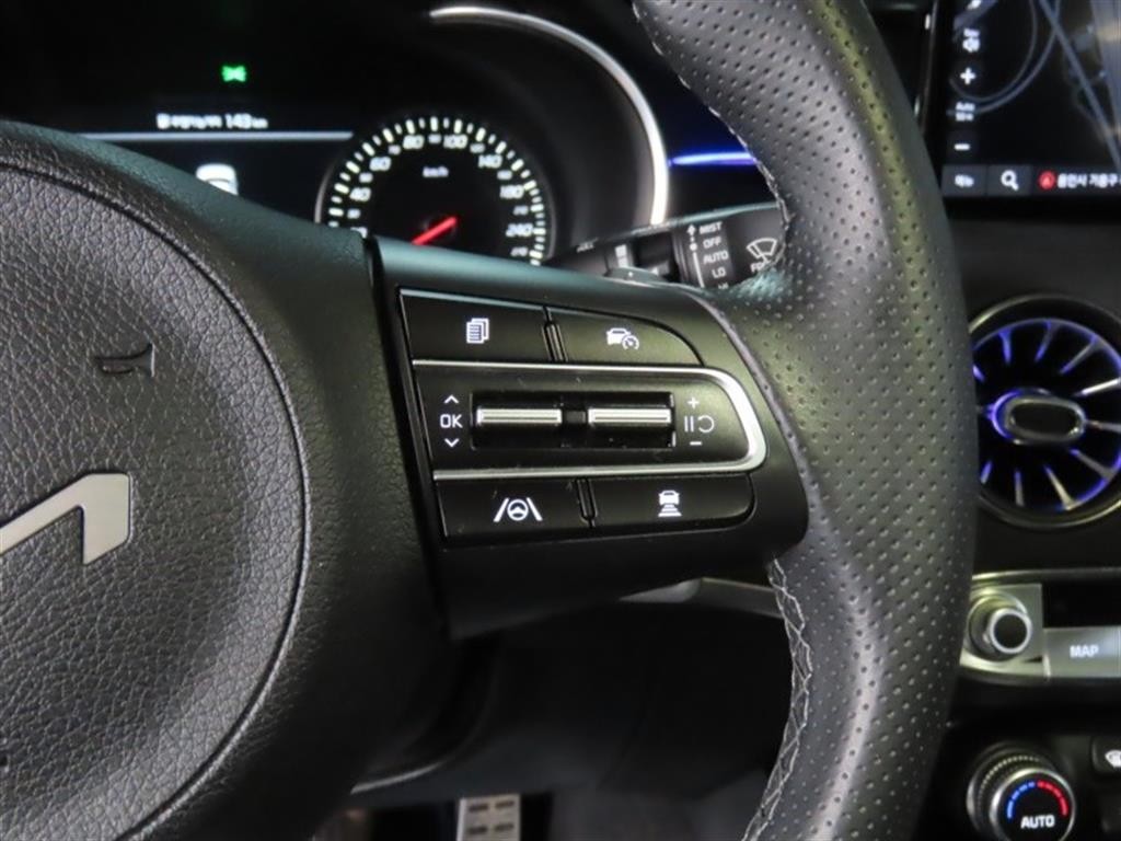 기아 스팅어 스팅어 마이스터 2WD 2.5 플래티넘 이미지 11