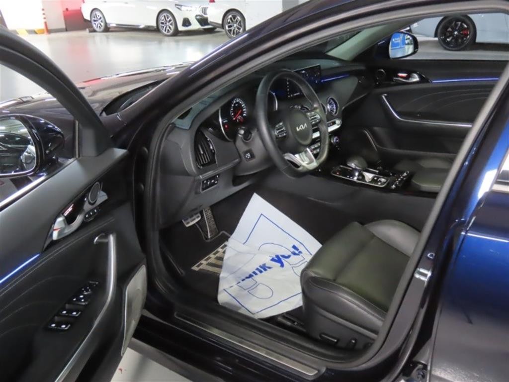 기아 스팅어 스팅어 마이스터 2WD 2.5 플래티넘 이미지 13