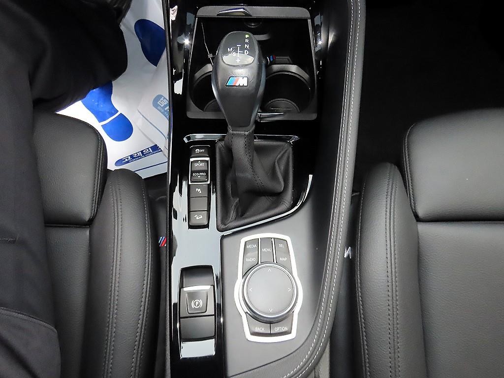 BMW X1 X1 (F48) xDrive 20d M 스포츠 이미지 10