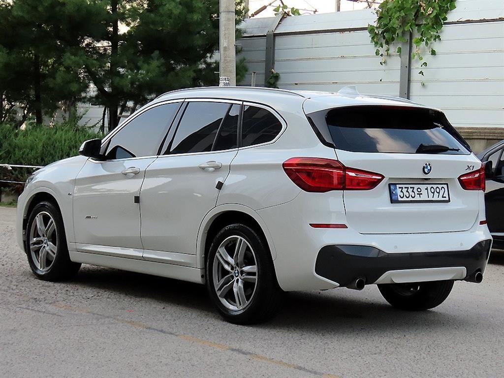 BMW X1 X1 (F48) xDrive 20d M 스포츠 이미지 3