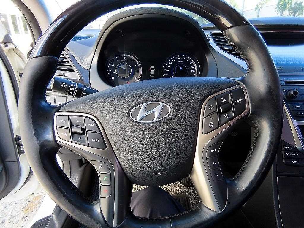 현대 그랜저 그랜저 HG HG300 PREMIUM 이미지 8