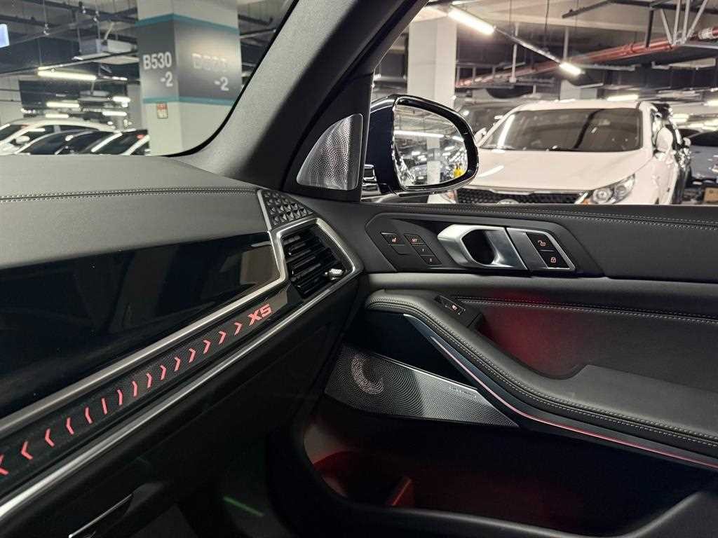BMW X5 X5 (G05) xDrive 40i M 스포츠 프로 스페셜 에디션 이미지 17