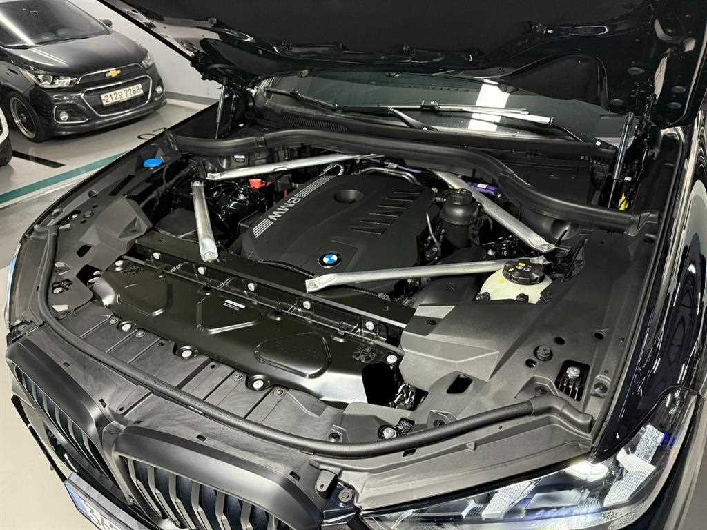 BMW X5 X5 (G05) xDrive 40i M 스포츠 프로 스페셜 에디션 이미지 6
