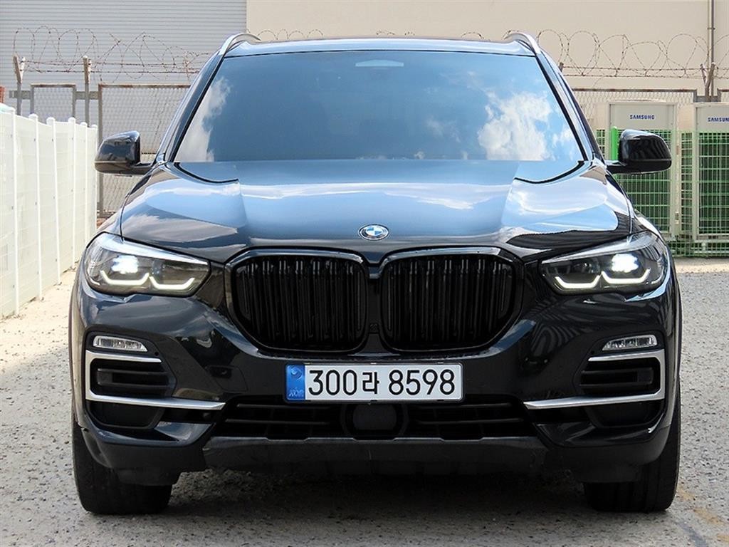 BMW X5 X5 (G05) xDrive 30d xLine 이미지 1