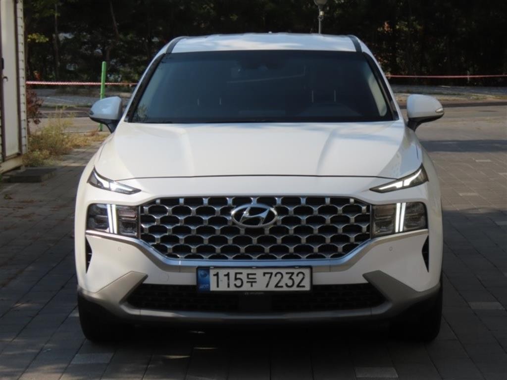 현대 싼타페 더 뉴 싼타페 디젤 2.2 2WD 프리미엄 초이스 이미지 1