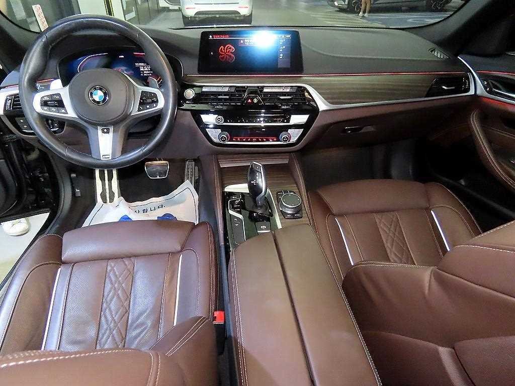 BMW 5시리즈 5시리즈 (G30) 530i M 스포츠 플러스 이미지 10