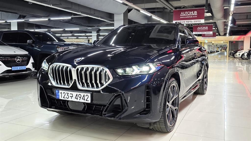 BMW X6 X6 (G06) xDrive 30d M 스포츠 이미지 1