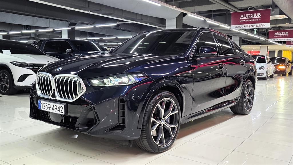 BMW X6 X6 (G06) xDrive 30d M 스포츠 이미지 13
