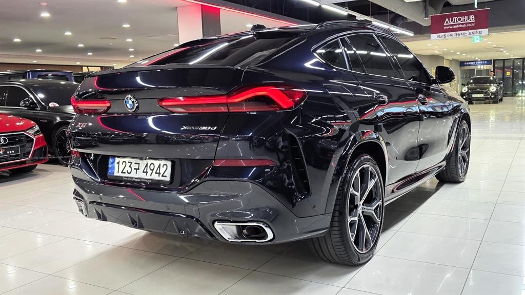 BMW X6 X6 (G06) xDrive 30d M 스포츠 이미지 17