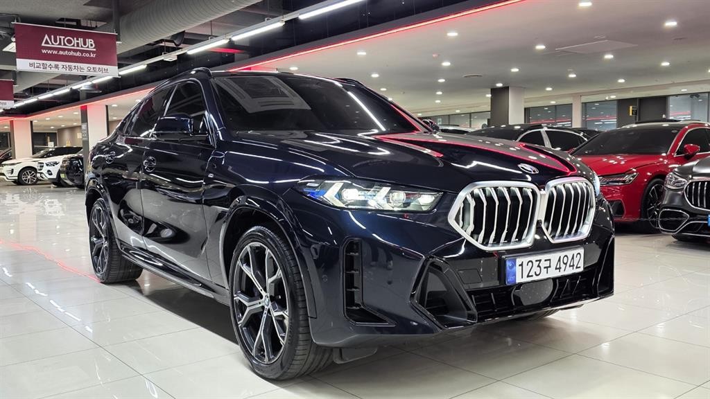 BMW X6 X6 (G06) xDrive 30d M 스포츠 이미지 19