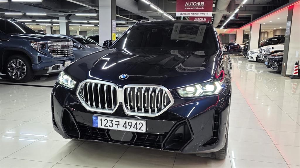 BMW X6 X6 (G06) xDrive 30d M 스포츠 이미지 20