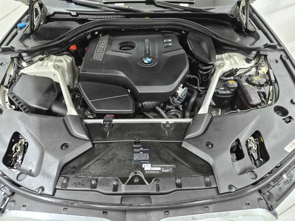 BMW 5시리즈 5시리즈 (G30) 520i 럭셔리 이미지 19
