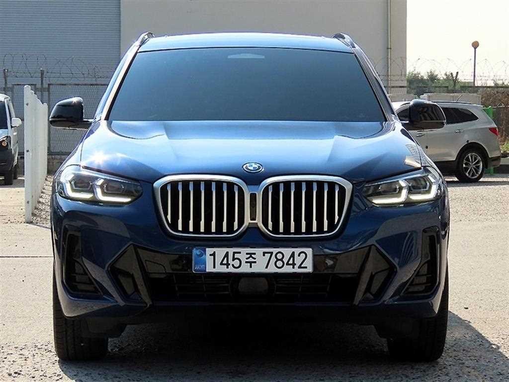 BMW X3 X3 (G01) xDrive 30e M 스포츠 이미지 1