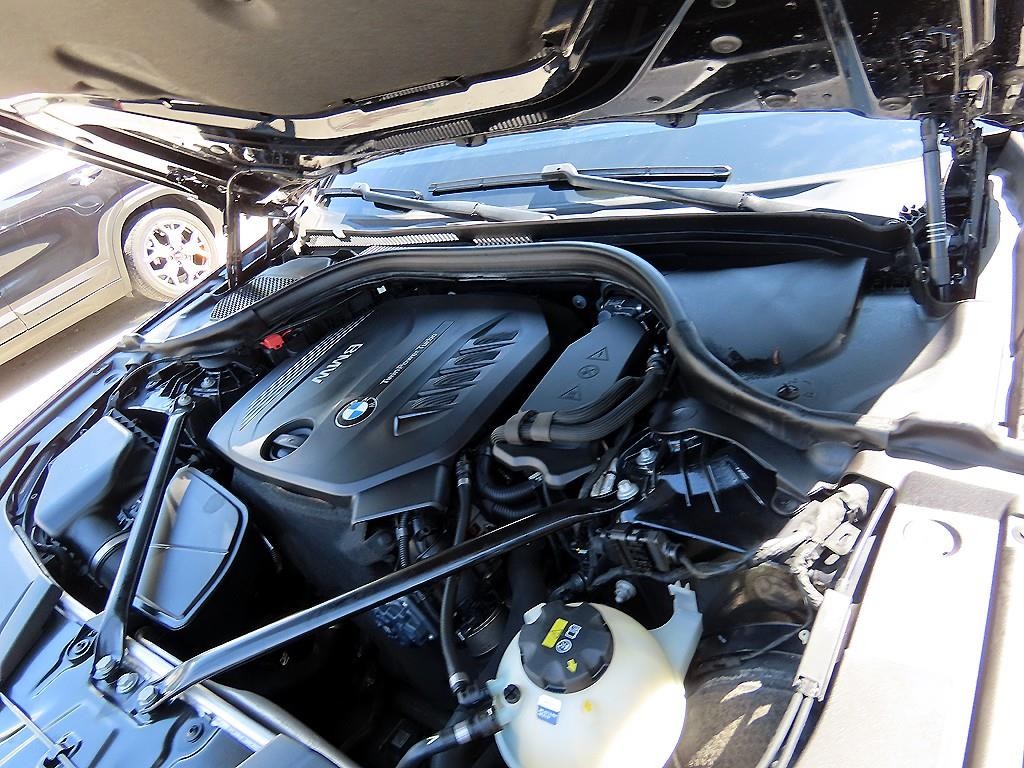 BMW 5시리즈 5시리즈 (G30) 520d M 스포츠 스페셜 에디션 이미지 19