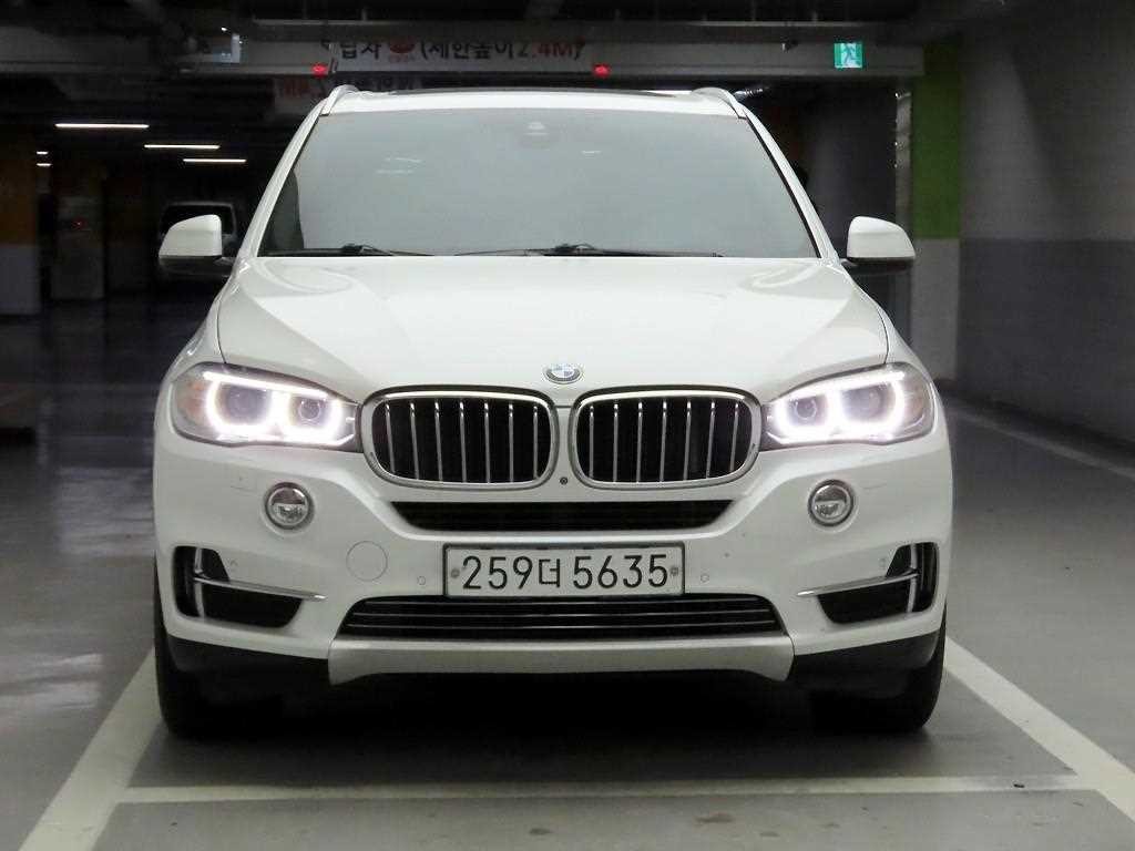 BMW X5 X5 (F15) xDrive 30d 이미지 1