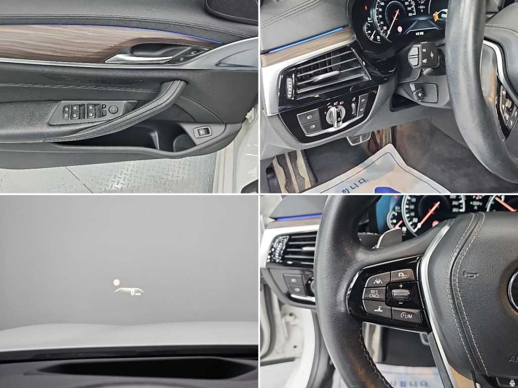 BMW 5시리즈 5시리즈 (G30) 520d xDrive M 스포츠 플러스 이미지 18