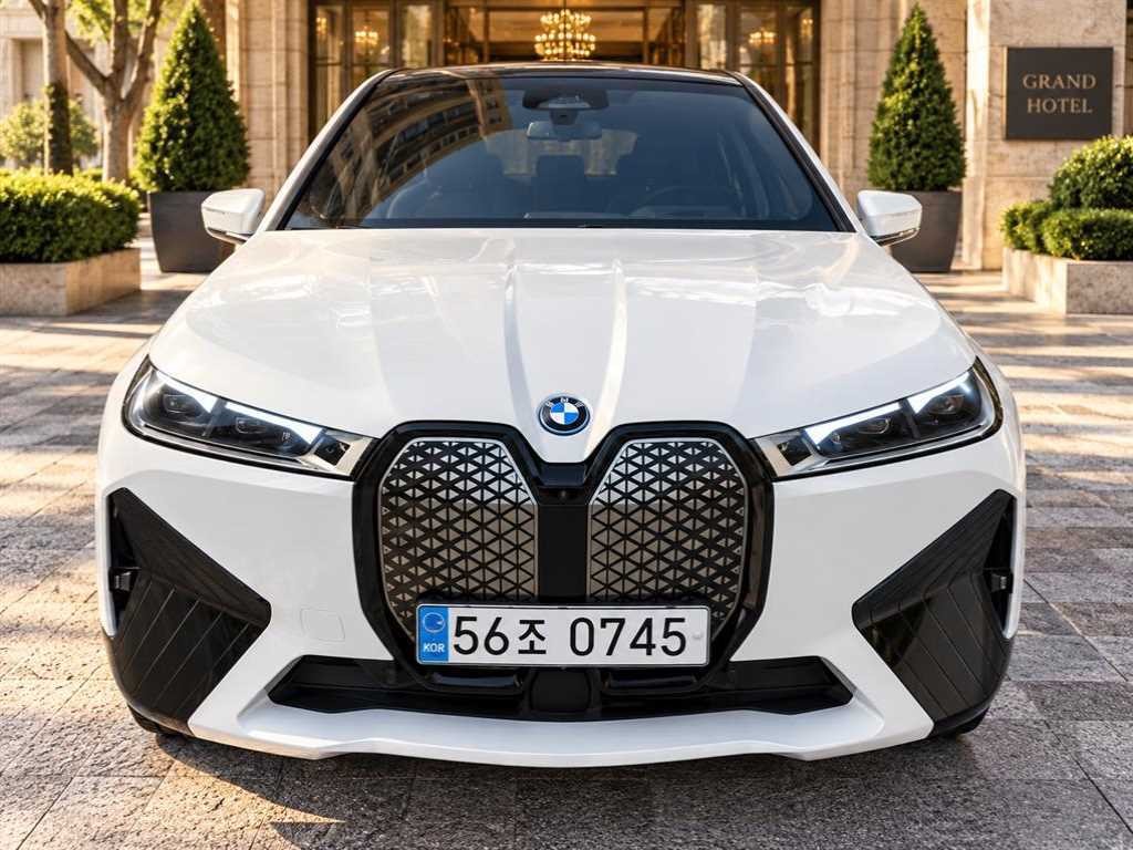 BMW iX xDrive 50 스포츠 플러스 이미지 1