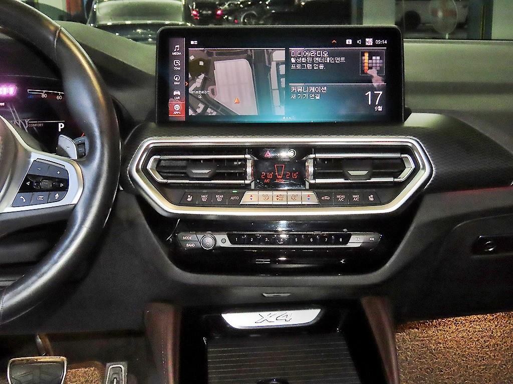 BMW X4 X4 (G02) xDrive 20d M 스포츠 이미지 11
