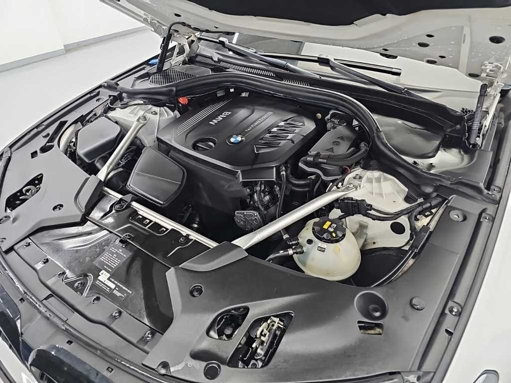 BMW 5시리즈 5시리즈 (G30) 520d M 스포츠 플러스 이미지 5
