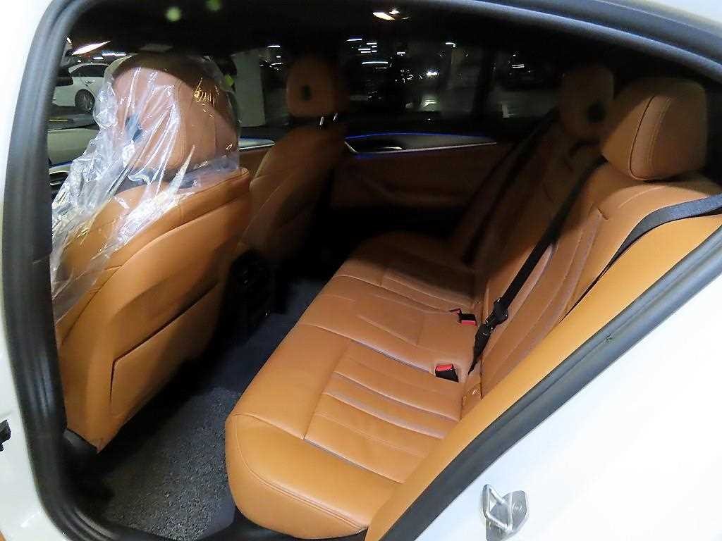 BMW 5시리즈 5시리즈 (G30) 520d M 스포츠 플러스 이미지 6