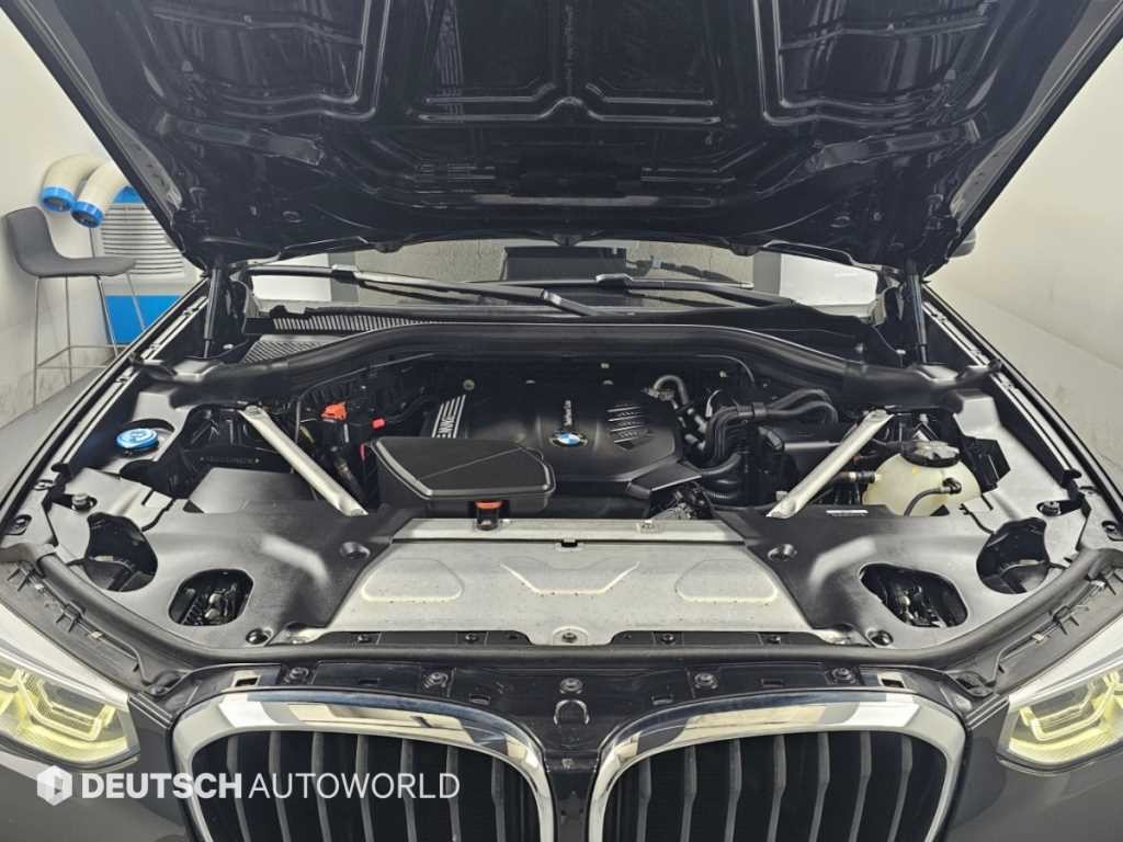 BMW X4 X4 (G02) xDrive 20d M 스포츠 온라인 익스클루시브 에디션 이미지 6