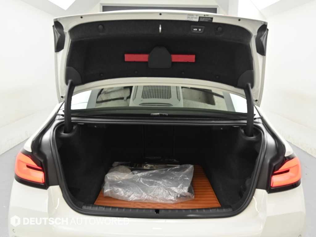 BMW 5시리즈 5시리즈 (G30) 530i M 스포츠 이미지 19