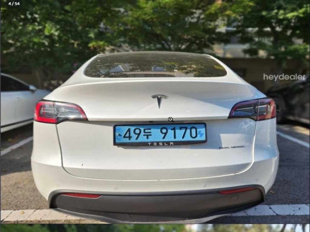 테슬라 모델 Y 롱 레인지 이미지 4