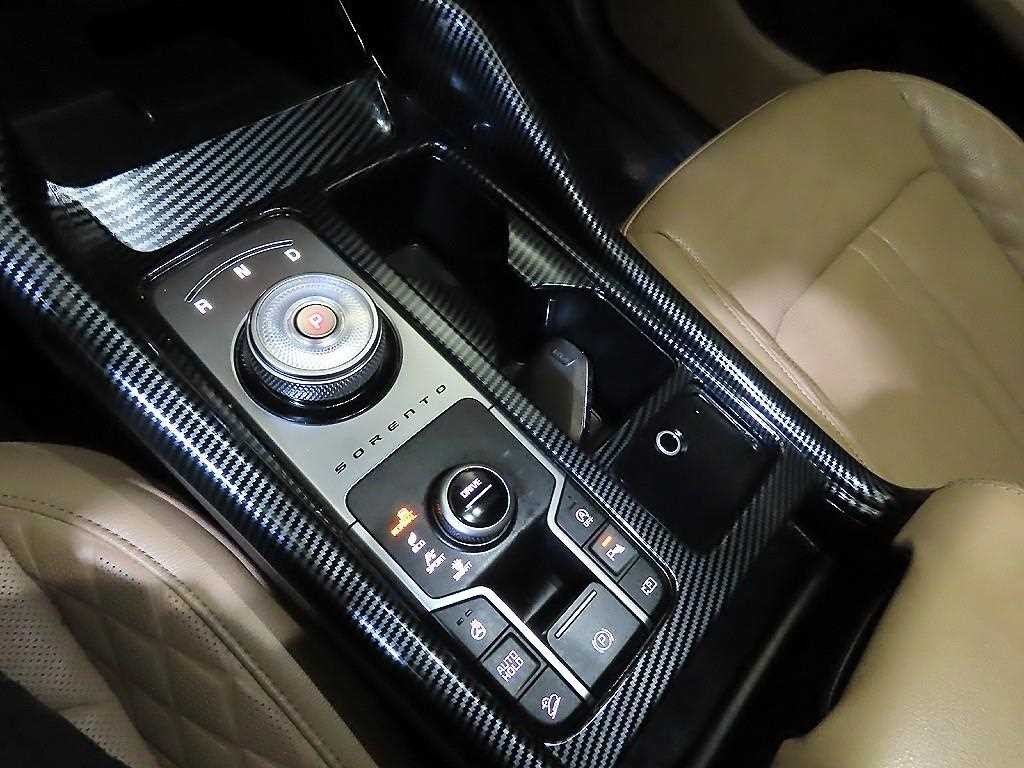 기아 쏘렌토 더 뉴 쏘렌토 4세대 디젤 2.2 4WD 시그니처 그래비티 이미지 12