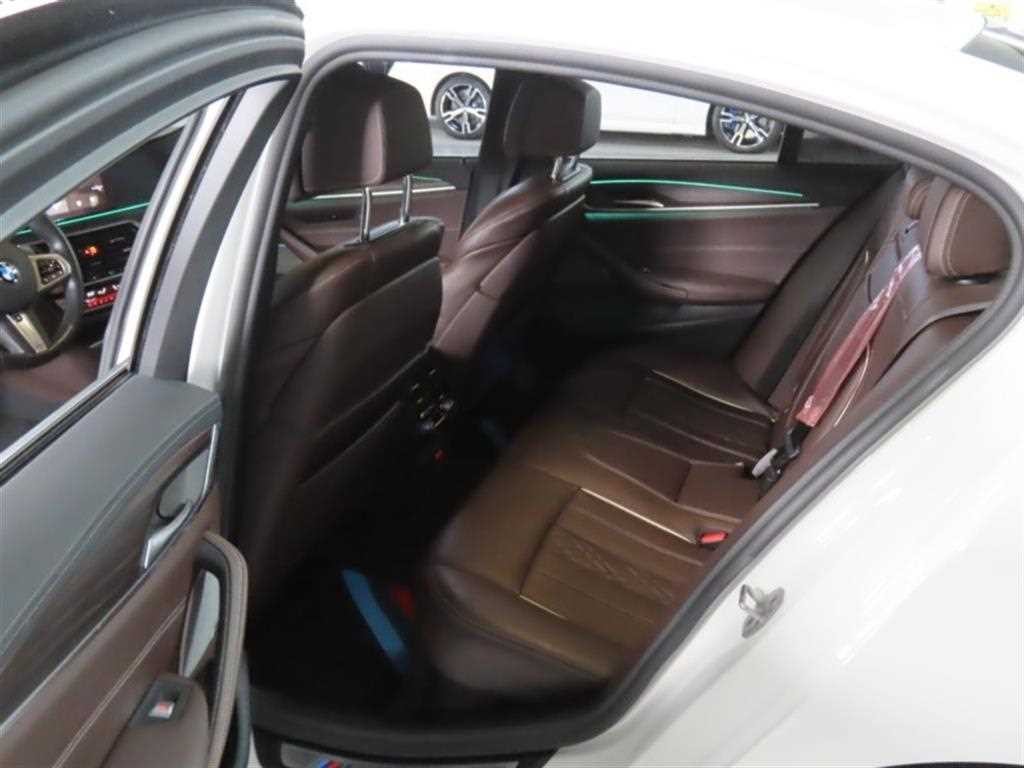 BMW 5시리즈 5시리즈 (G30) 530i M 스포츠 이미지 14