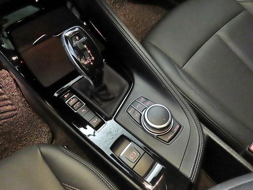 BMW X1 X1 (F48) xDrive 20i M 스포츠 이미지 12