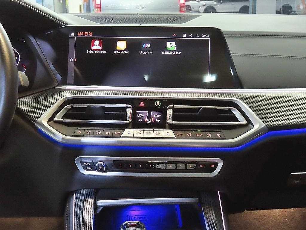 BMW X5 X5 (G05) xDrive 40i M 스포츠 이미지 11