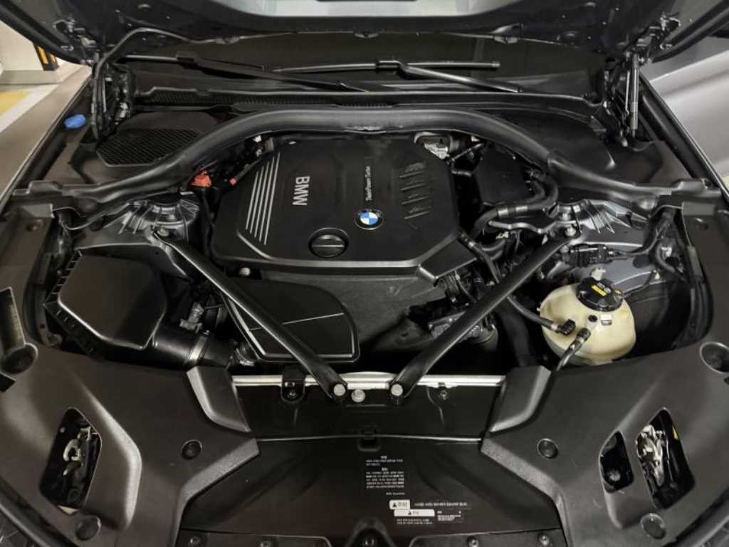 BMW 5시리즈 5시리즈 (G30) 520d 럭셔리 스페셜 에디션 이미지 20