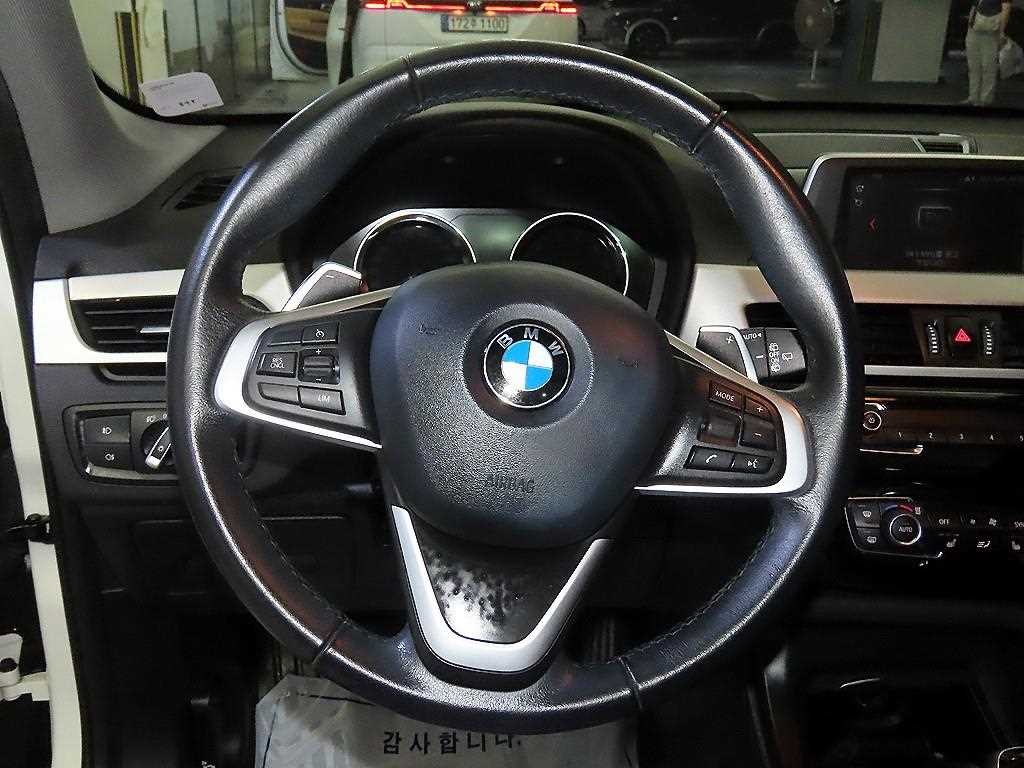 BMW X1 X1 (F48) xDrive 20i 어드밴티지 이미지 8