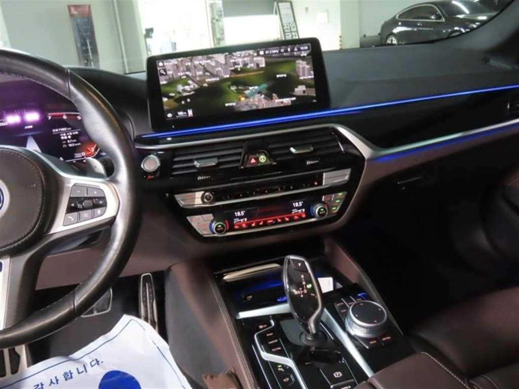 BMW 5시리즈 5시리즈 (G30) 530i M 스포츠 이미지 16