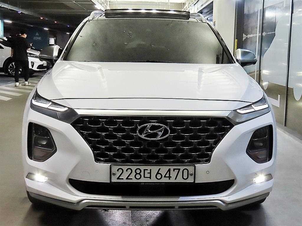 현대 싼타페 싼타페 TM 디젤 2.2 4WD 인스퍼레이션 이미지 2