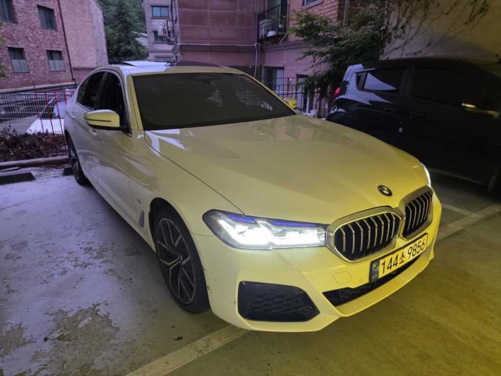 BMW 5시리즈 5시리즈 (G30) 530i xDrive M 스포츠 이미지 1