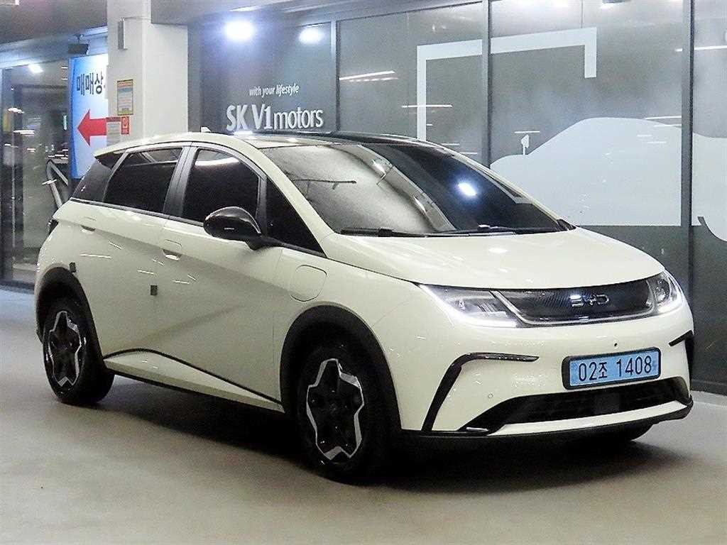 BYD 돌핀 베이스 이미지 1