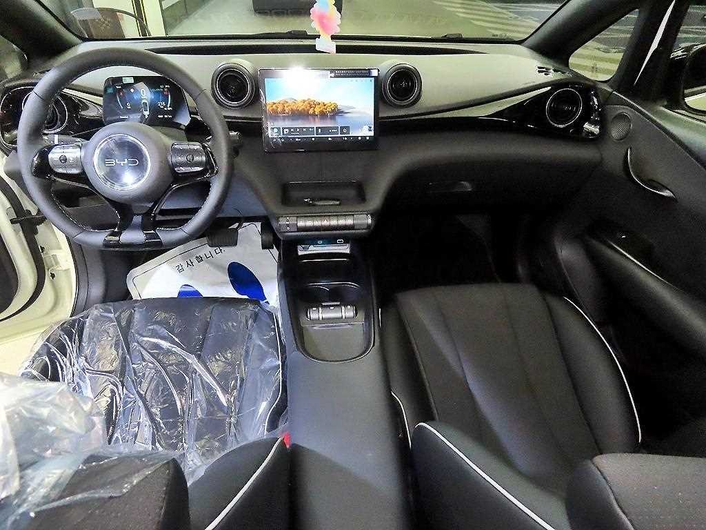BYD 돌핀 베이스 이미지 10