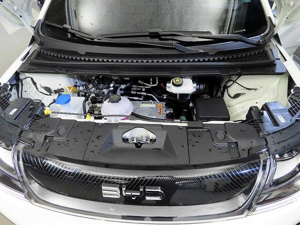 BYD 돌핀 베이스 이미지 19