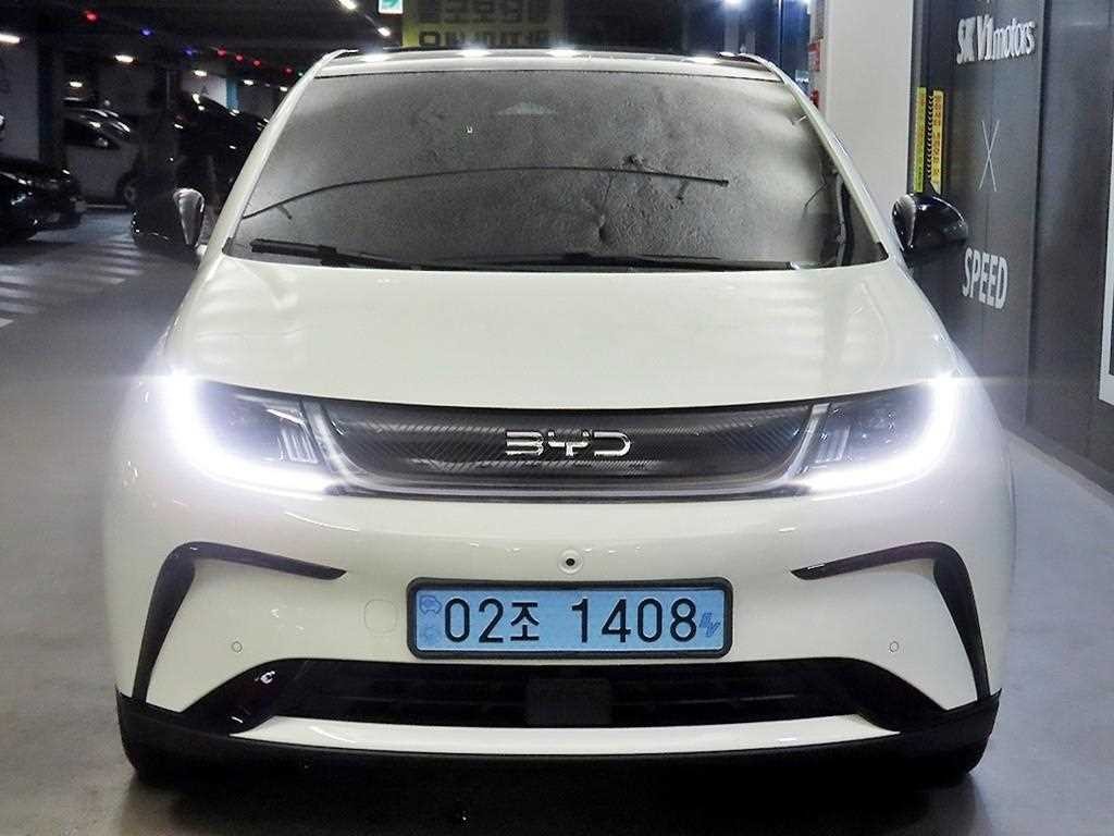 BYD 돌핀 베이스 이미지 2