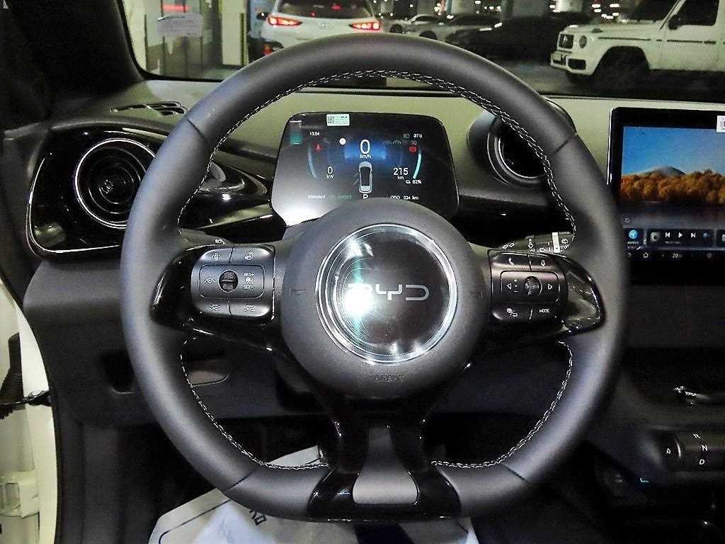 BYD 돌핀 베이스 이미지 8