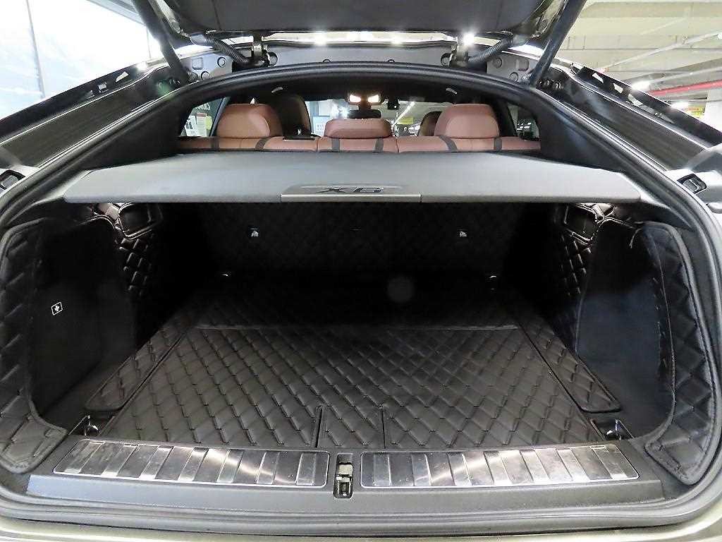 BMW X6 X6 (G06) xDrive 30d M 스포츠 이미지 16