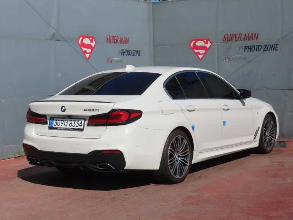 BMW 5시리즈 5시리즈 (G30) 530i M 스포츠 플러스 이미지 3