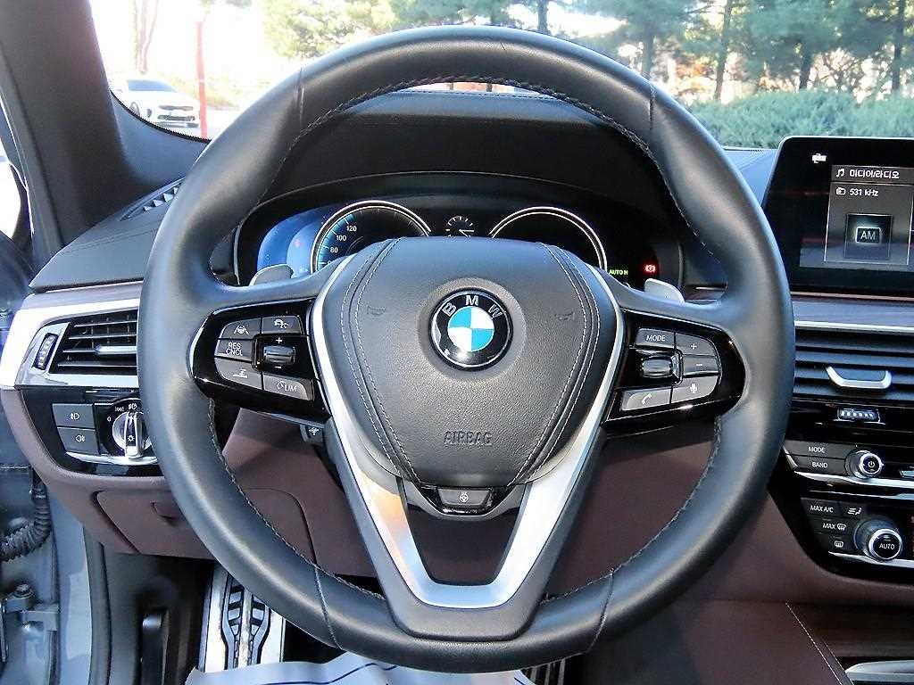 BMW 5시리즈 5시리즈 (G30) 530i M 스포츠 플러스 이미지 8