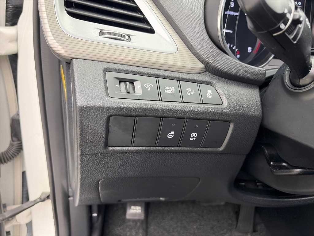 현대 맥스크루즈 더뉴맥스크루즈 E-VGT R2.2 2WD 익스클루시브 이미지 19