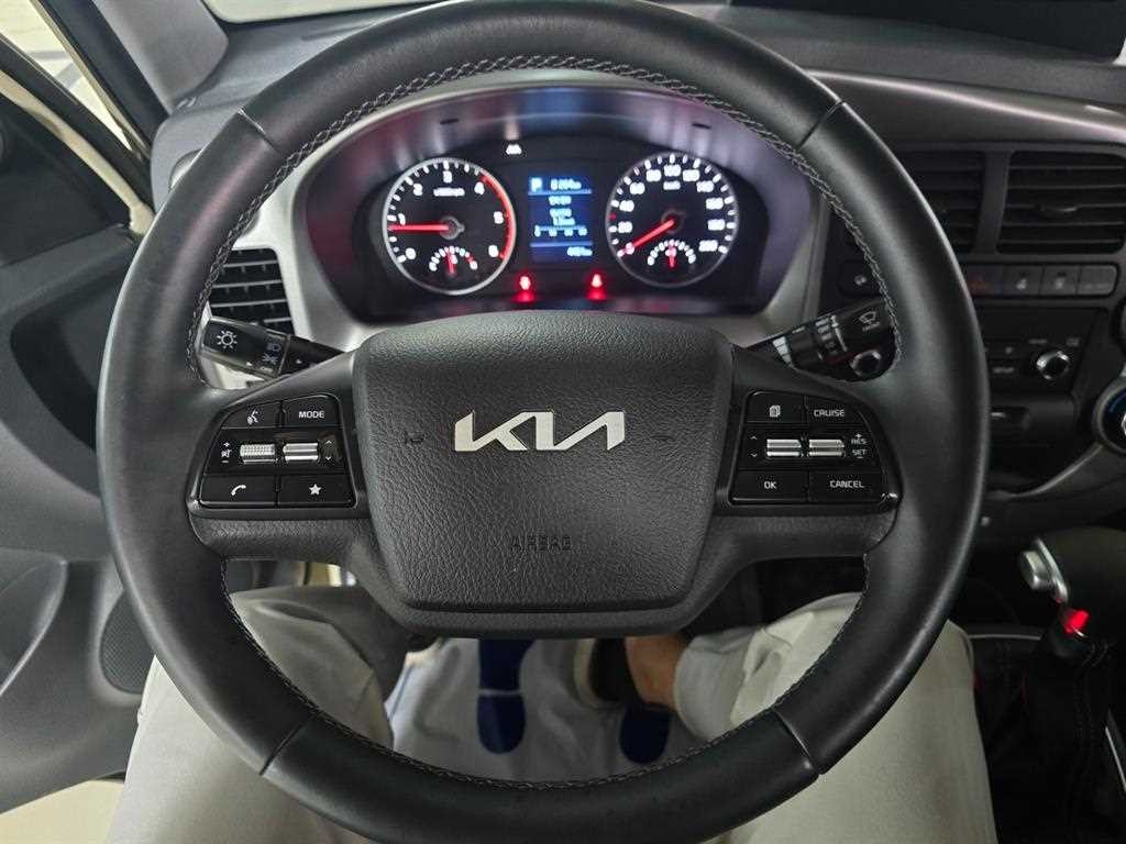 소형화물 카고(소형) [카고]봉고3 (LPG2.5터보) 더블캡/초장축/2WD GLS 이미지 7
