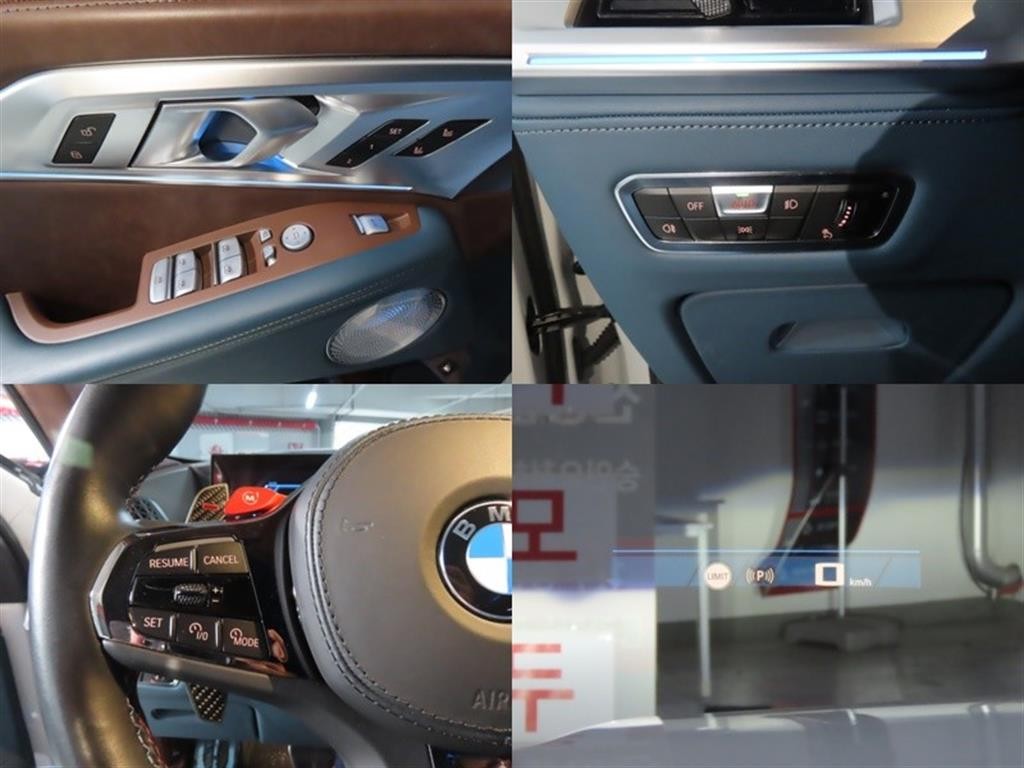 BMW XM XM (G09) 4.4 이미지 19